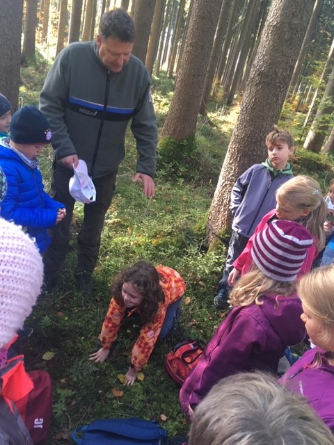 Wir erkunden den Wald (5)