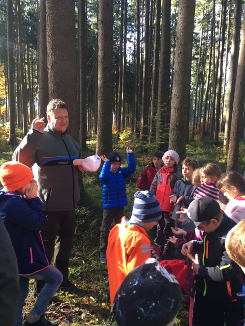 Wir erkunden den Wald (8)