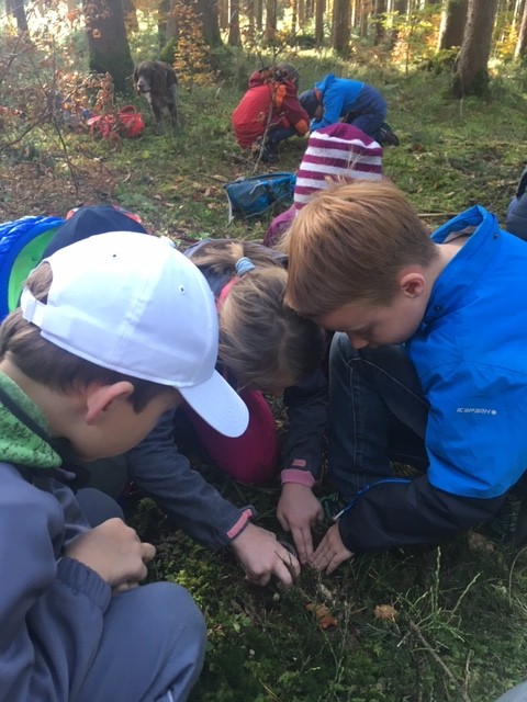 Wir erkunden den Wald (10)