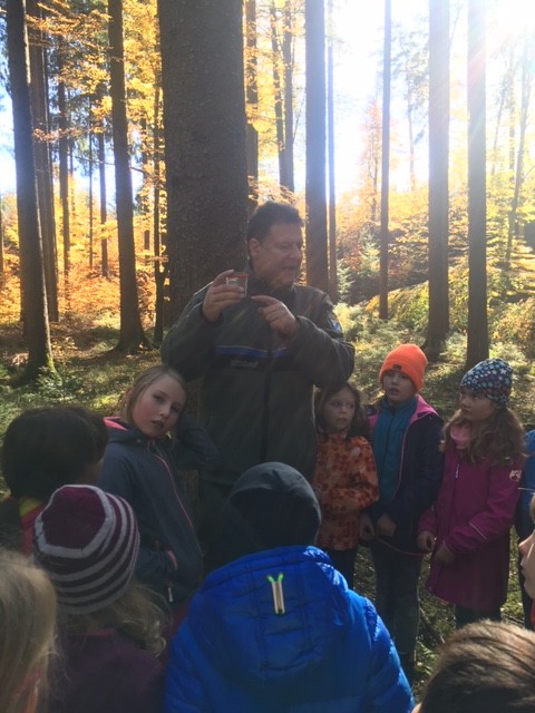 Wir erkunden den Wald (13)