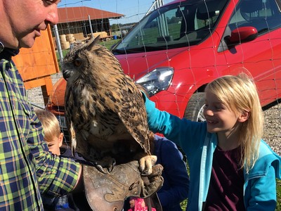 Grossansicht in neuem Fenster: Ausflug zur Vogelauffangstation (5)