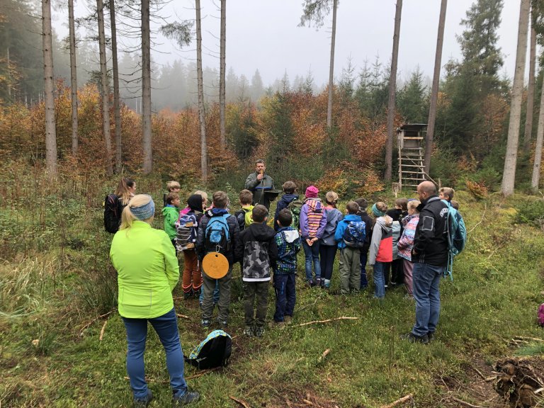 Wald -2