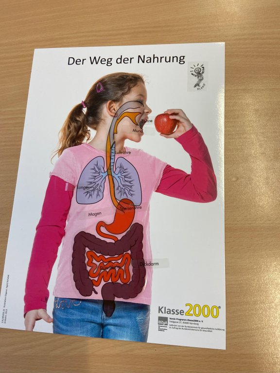 Grossansicht in neuem Fenster: Klasse 2000
