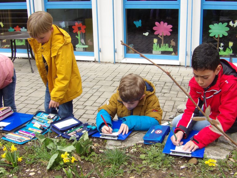 Grossansicht in neuem Fenster: Tulpe 5